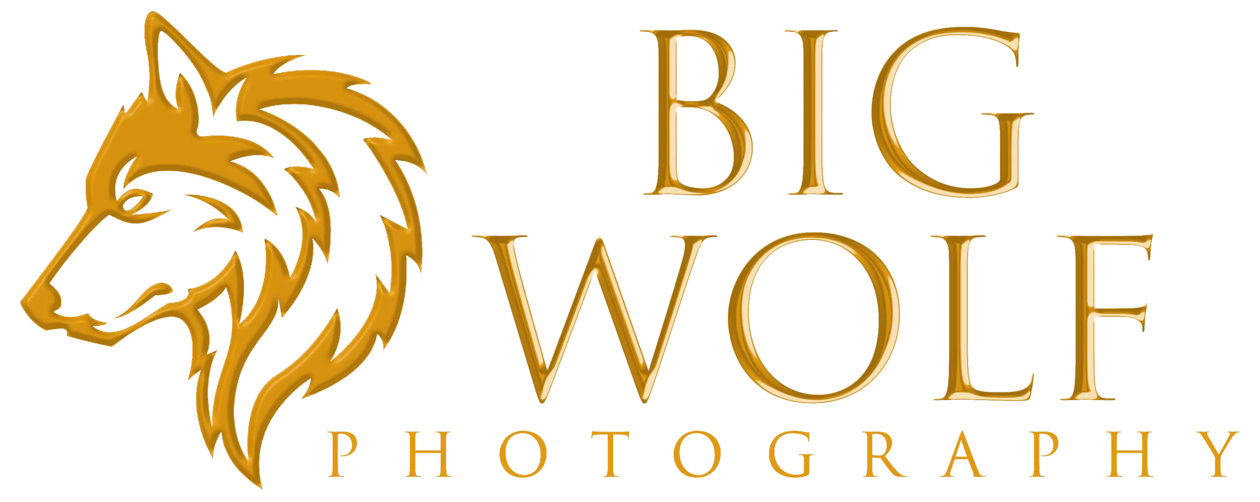 Logo-for-Website-Landscape-Orange